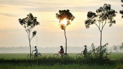 三个人在绿草地上骑自行车